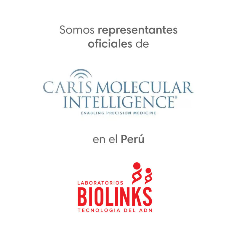 representantes